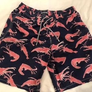 Mens Swimwear Vilebrequin Long Classic